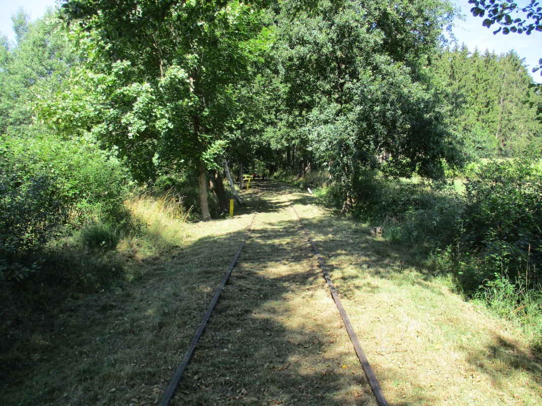 ZWNEGI12